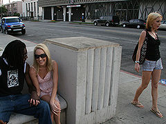 Niggers Violating Nasty White Girls